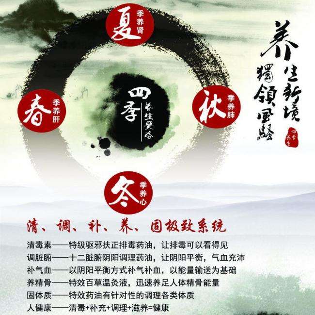 仿制菲律宾护照电子版